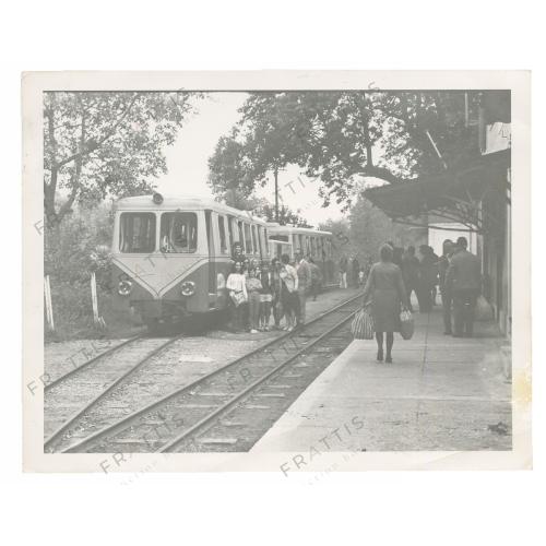 181 - DECAUVILLE, ΖΑΧΛΩΡΟΥ